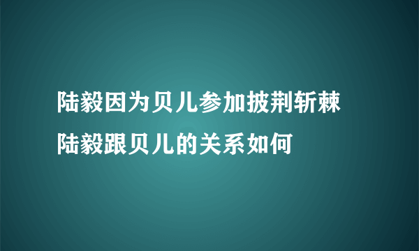 陆毅因为贝儿参加披荆斩棘 陆毅跟贝儿的关系如何