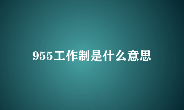 955工作制是什么意思