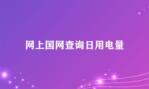 网上国网查询日用电量