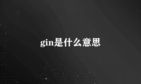 gin是什么意思