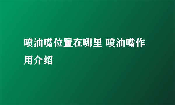 喷油嘴位置在哪里 喷油嘴作用介绍