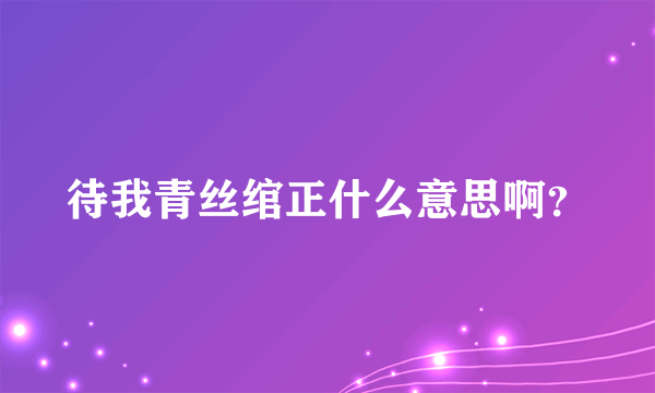 待我青丝绾正什么意思啊？