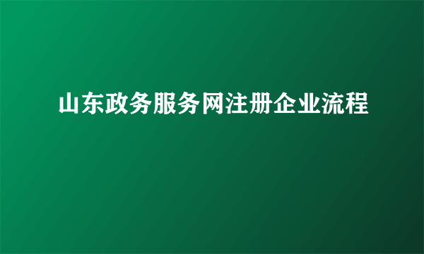 山东政务服务网注册企业流程