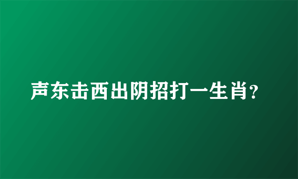 声东击西出阴招打一生肖？