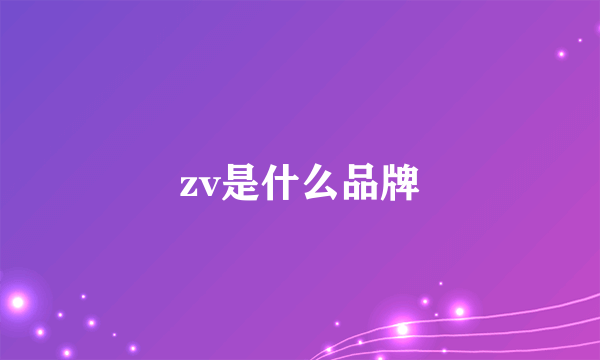 zv是什么品牌