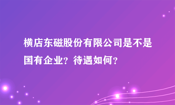 横店东磁股份有限公司是不是国有企业？待遇如何？