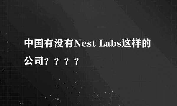 中国有没有Nest Labs这样的公司？？？？