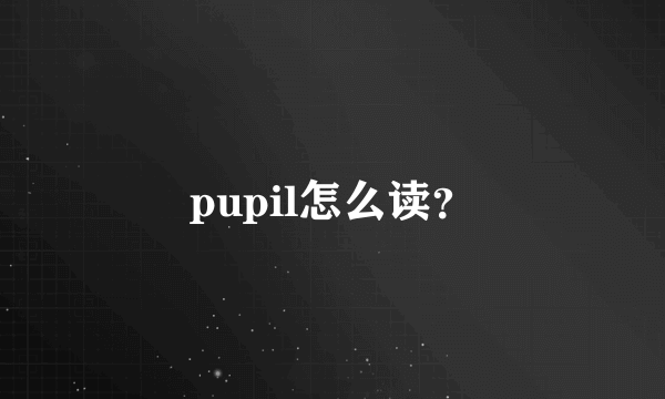 pupil怎么读？