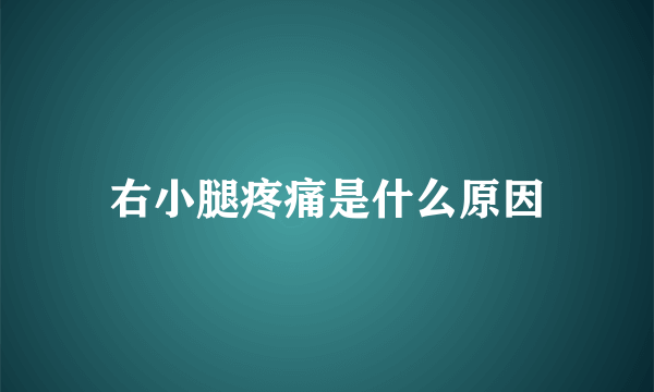 右小腿疼痛是什么原因