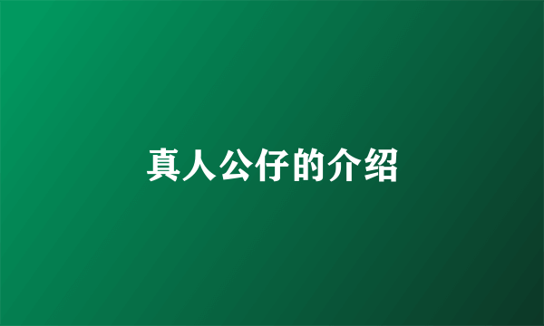 真人公仔的介绍