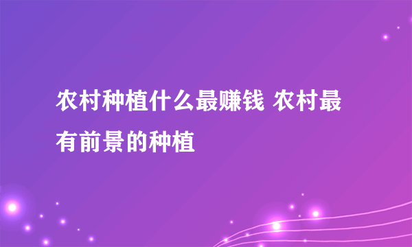 农村种植什么最赚钱 农村最有前景的种植