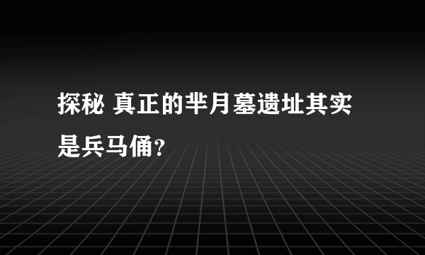 探秘 真正的芈月墓遗址其实是兵马俑？