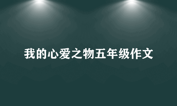 我的心爱之物五年级作文