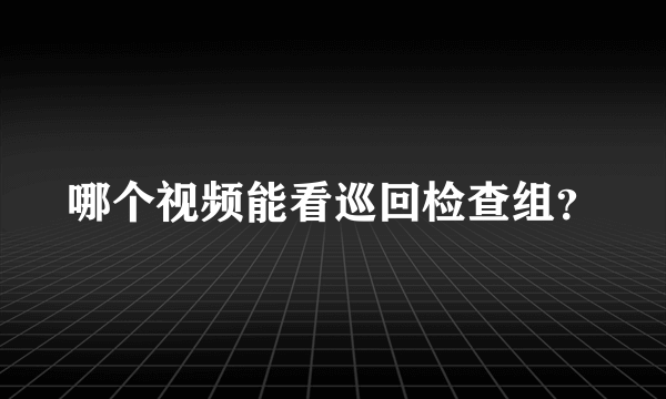 哪个视频能看巡回检查组？