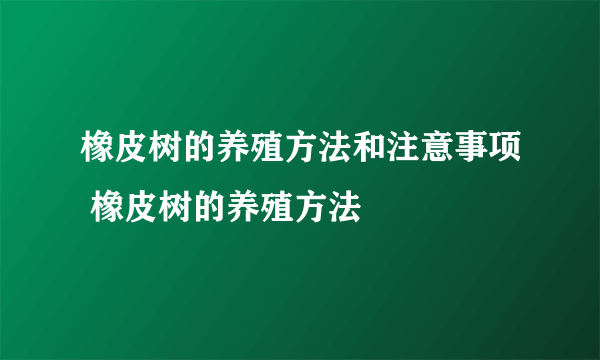 橡皮树的养殖方法和注意事项 橡皮树的养殖方法