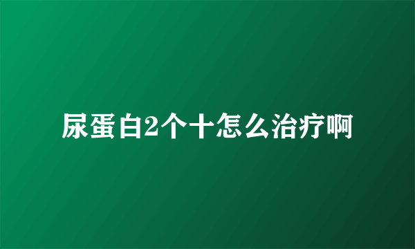 尿蛋白2个十怎么治疗啊