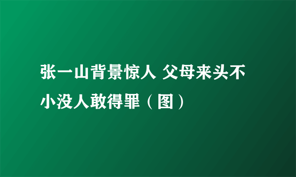 张一山背景惊人 父母来头不小没人敢得罪（图）