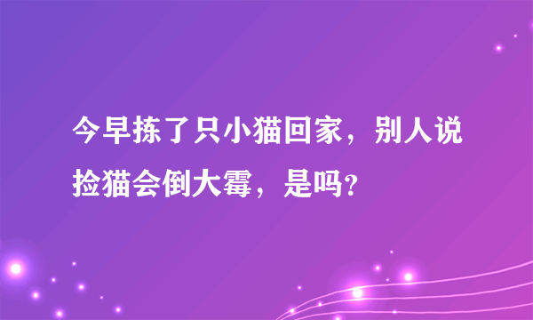 今早拣了只小猫回家，别人说捡猫会倒大霉，是吗？