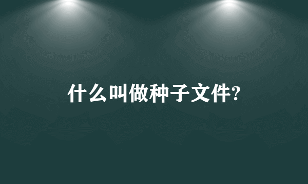 什么叫做种子文件?