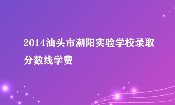 2014汕头市潮阳实验学校录取分数线学费