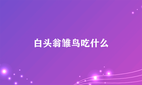 白头翁雏鸟吃什么