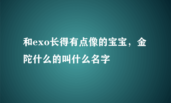 和exo长得有点像的宝宝，金陀什么的叫什么名字