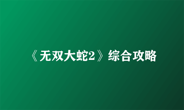 《无双大蛇2》综合攻略