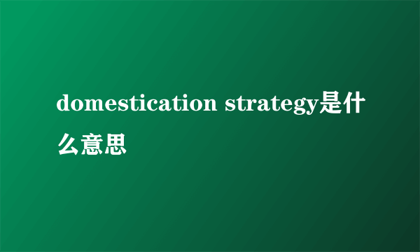 domestication strategy是什么意思