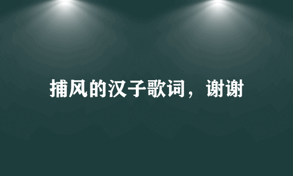 捕风的汉子歌词，谢谢