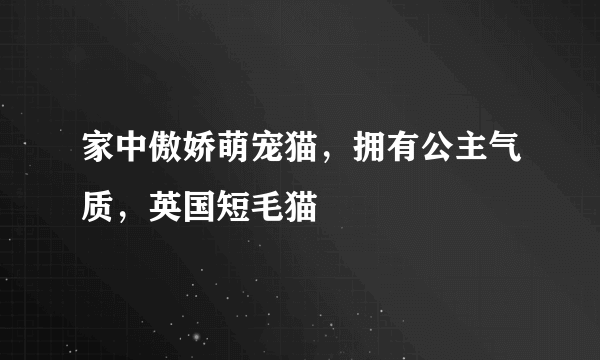 家中傲娇萌宠猫，拥有公主气质，英国短毛猫