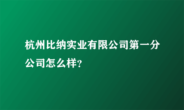 杭州比纳实业有限公司第一分公司怎么样？