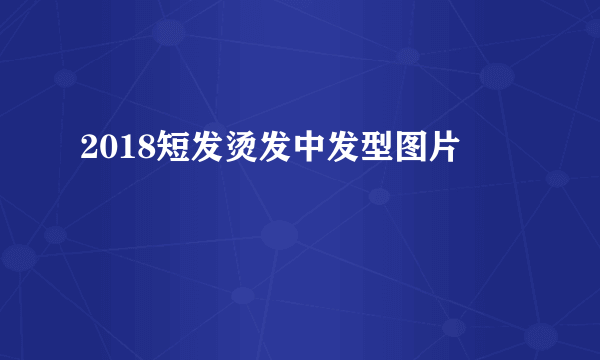 2018短发烫发中发型图片