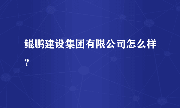 鲲鹏建设集团有限公司怎么样？