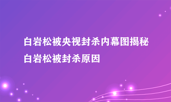 白岩松被央视封杀内幕图揭秘白岩松被封杀原因