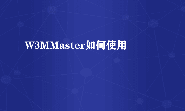 W3MMaster如何使用