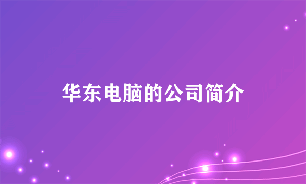 华东电脑的公司简介