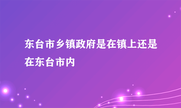 东台市乡镇政府是在镇上还是在东台市内