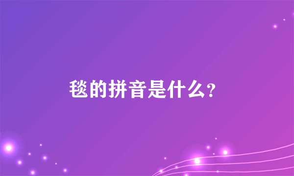 毯的拼音是什么？