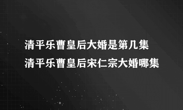 清平乐曹皇后大婚是第几集 清平乐曹皇后宋仁宗大婚哪集