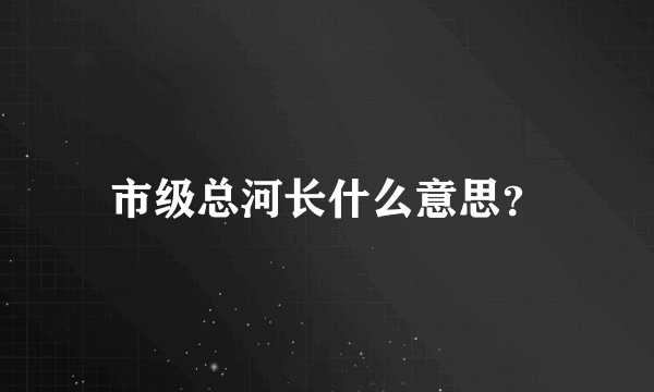 市级总河长什么意思？