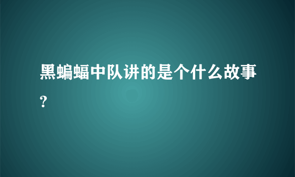 黑蝙蝠中队讲的是个什么故事?