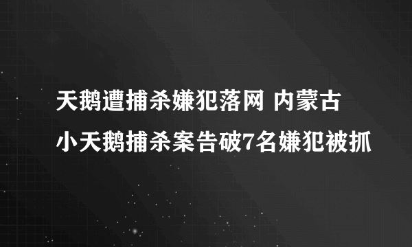 天鹅遭捕杀嫌犯落网 内蒙古小天鹅捕杀案告破7名嫌犯被抓