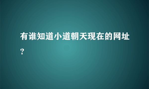 有谁知道小道朝天现在的网址？