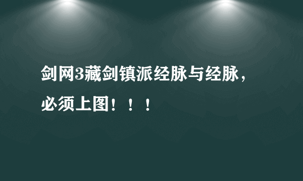 剑网3藏剑镇派经脉与经脉，必须上图！！！