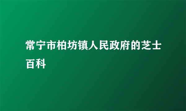 常宁市柏坊镇人民政府的芝士百科