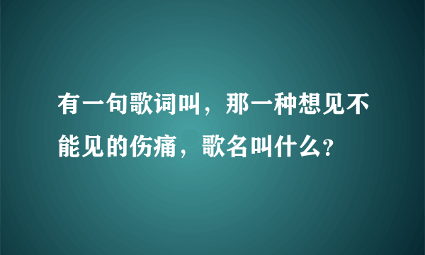 有一句歌词叫，那一种想见不能见的伤痛，歌名叫什么？