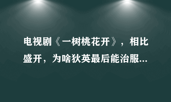 电视剧《一树桃花开》，相比盛开，为啥狄英最后能治服罗耀辉母？