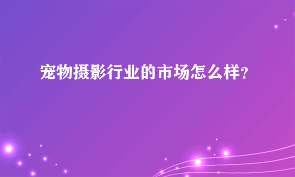 宠物摄影行业的市场怎么样？