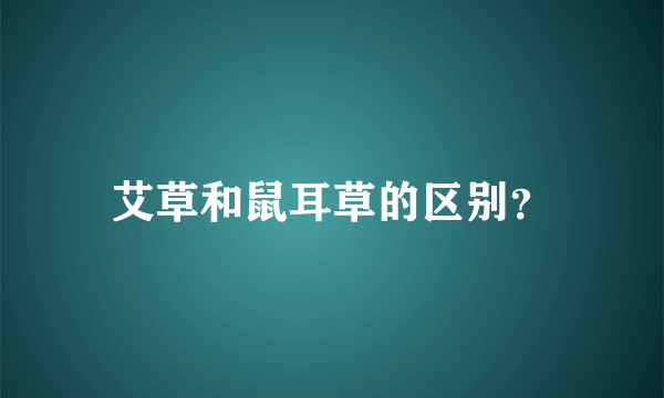 艾草和鼠耳草的区别？