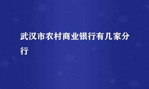 武汉市农村商业银行有几家分行